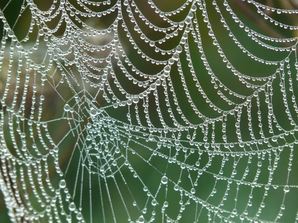 US Charges Five Scattered Spider Members Tied to Hacking Spree